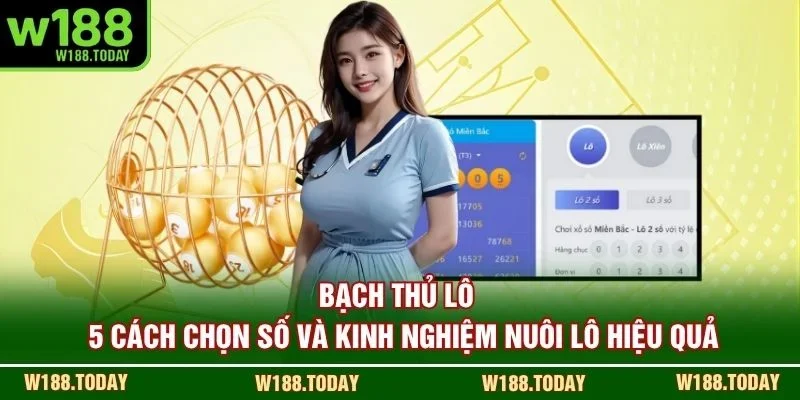 Bạch Thủ Lô