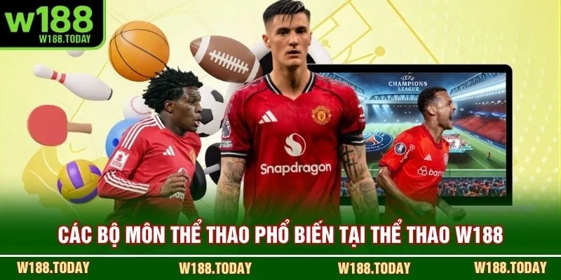 Các bộ môn thể thao phổ biến tại thể thao W188