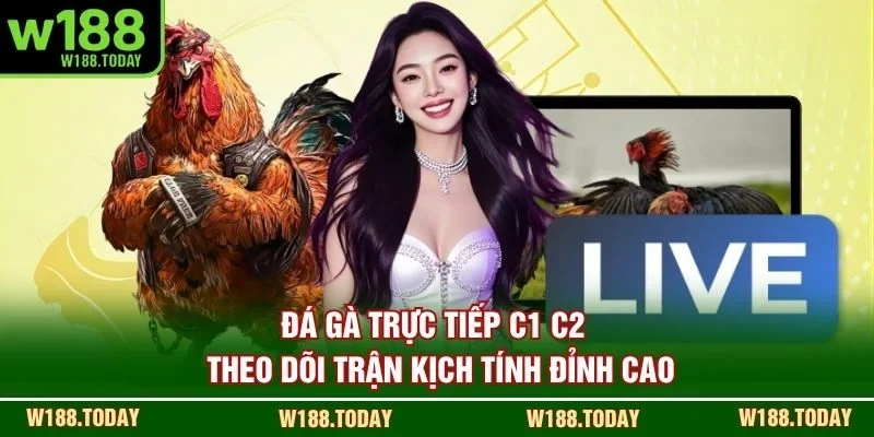 Đá Gà Trực Tiếp C1 C2