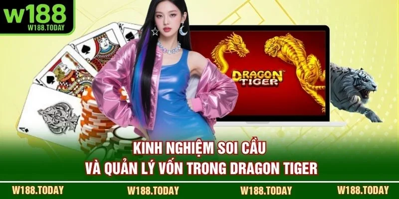 Kinh nghiệm soi cầu và quản lý vốn trong Dragon Tiger