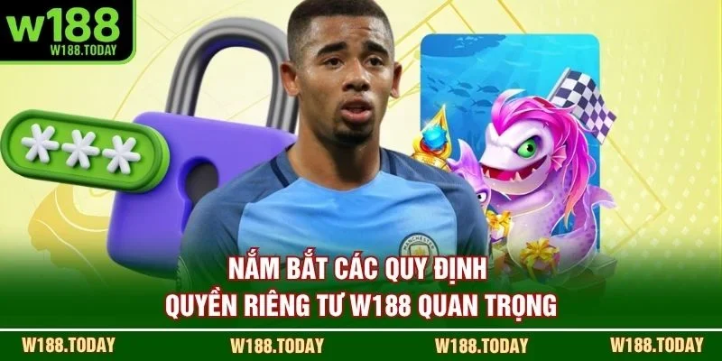 Nắm bắt các quy định quyền riêng tư W188 quan trọng