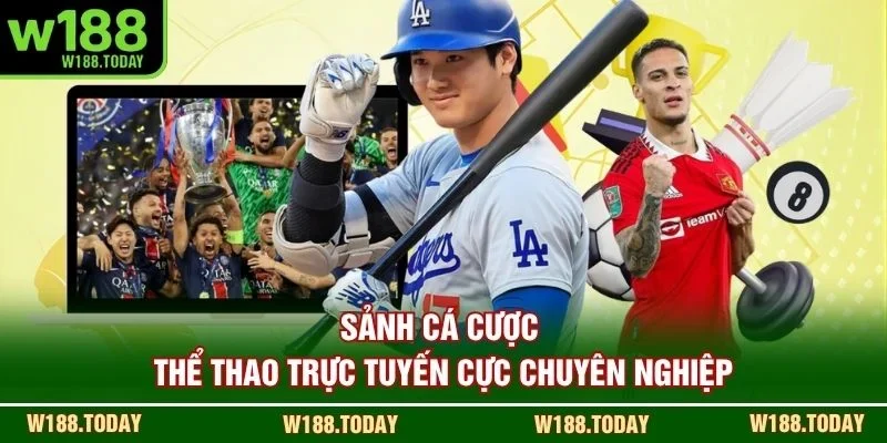 Sảnh cá cược thể thao trực tuyến cực chuyên nghiệp