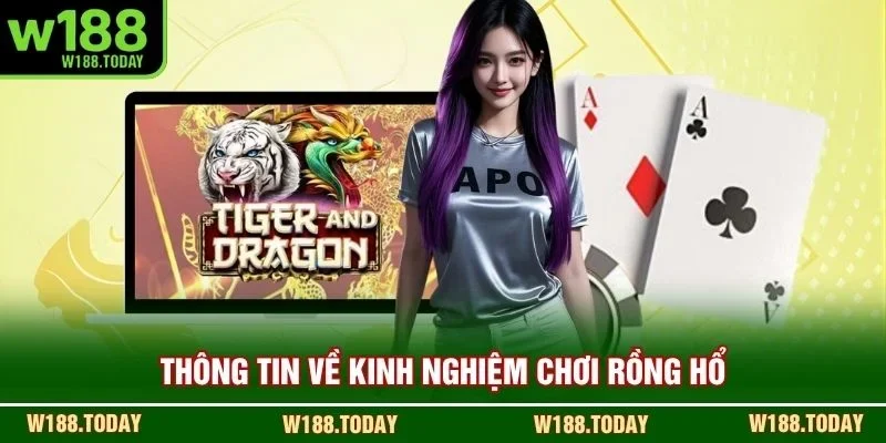Thông tin về kinh nghiệm chơi Rồng Hổ